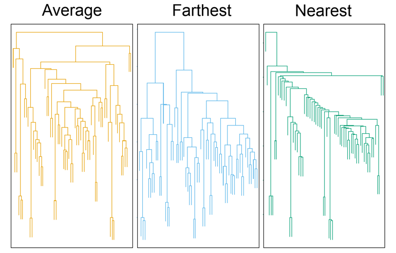 Dendograph of hierechical clustering
